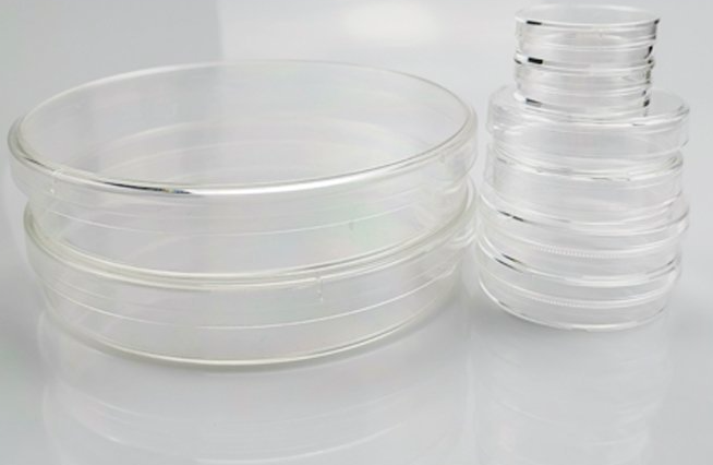 Cell culture dishes